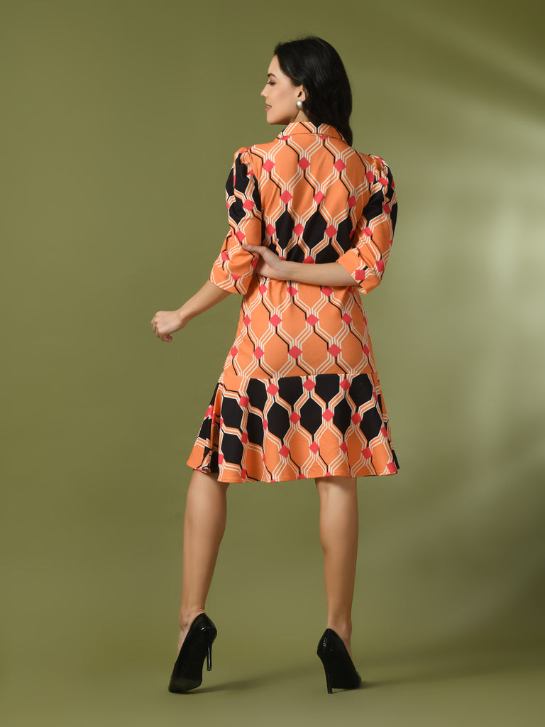 Women's  Multi Printed Shirt Collar Fit And Flare Party Dress