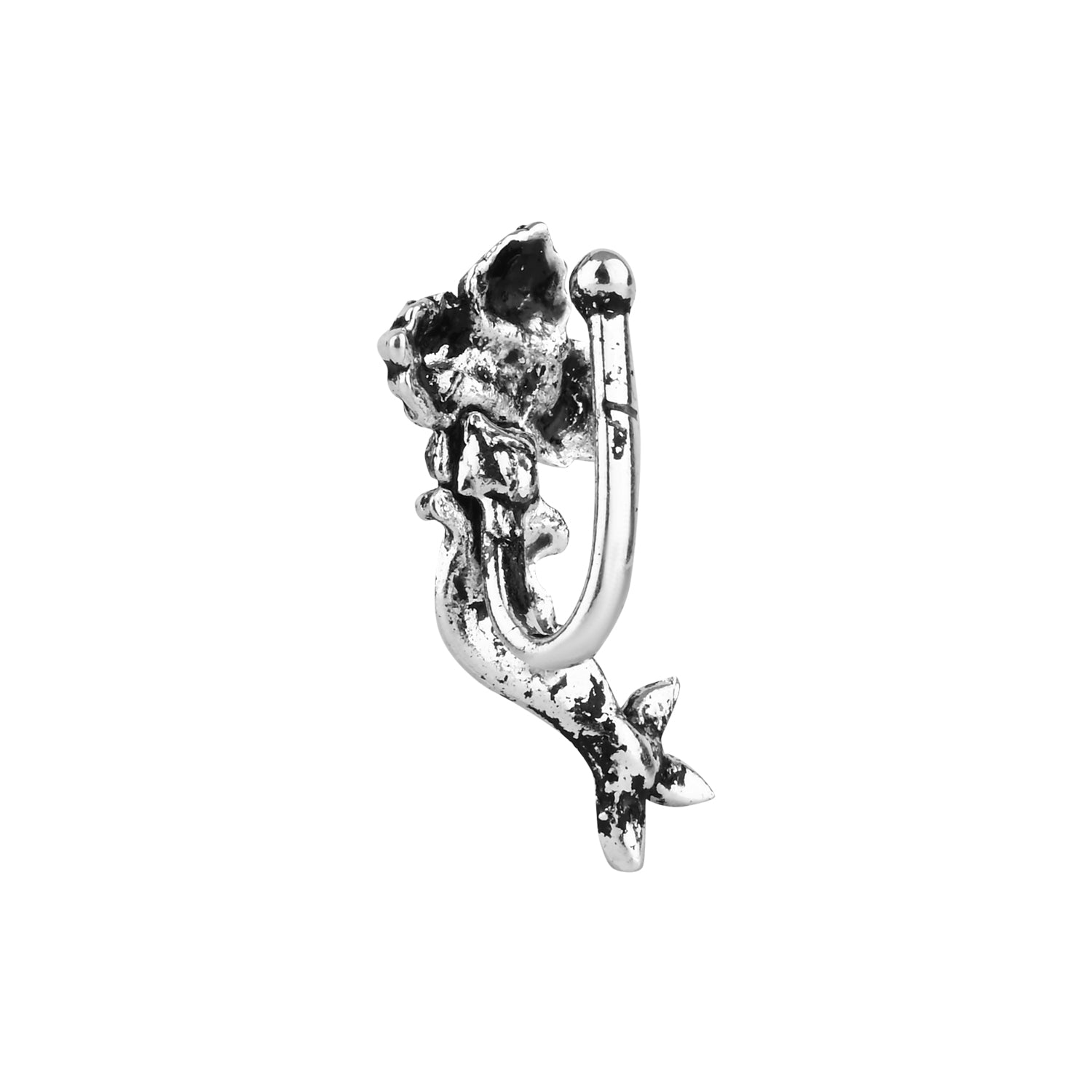 Color_Silver