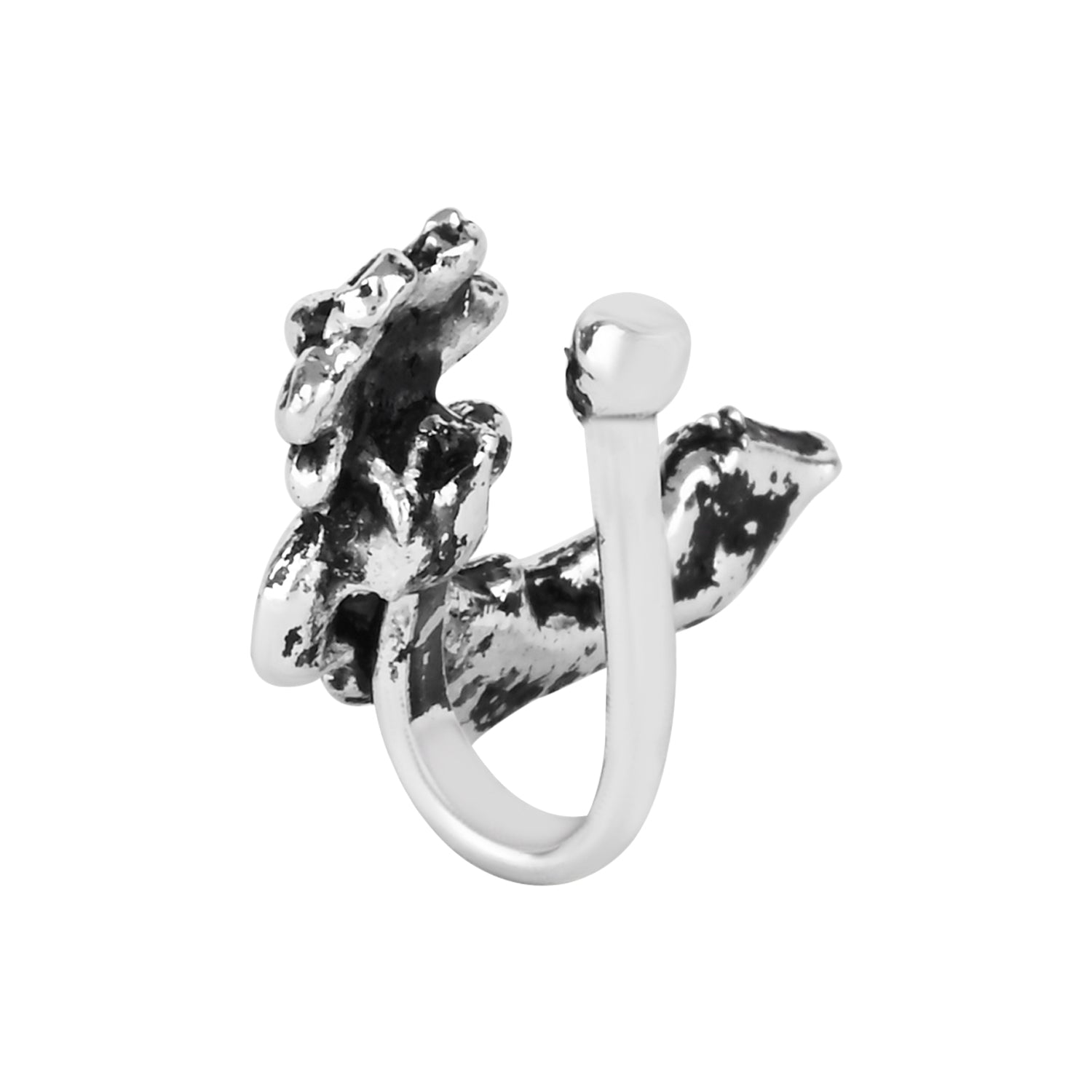 Color_Silver