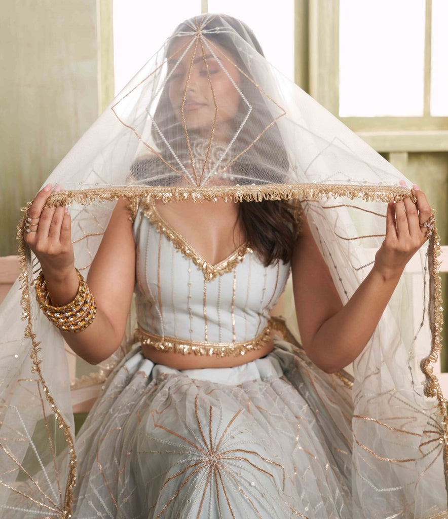 Women's Grey Net Thread Embroiderey With All Over Sequins Work Lehenga Set