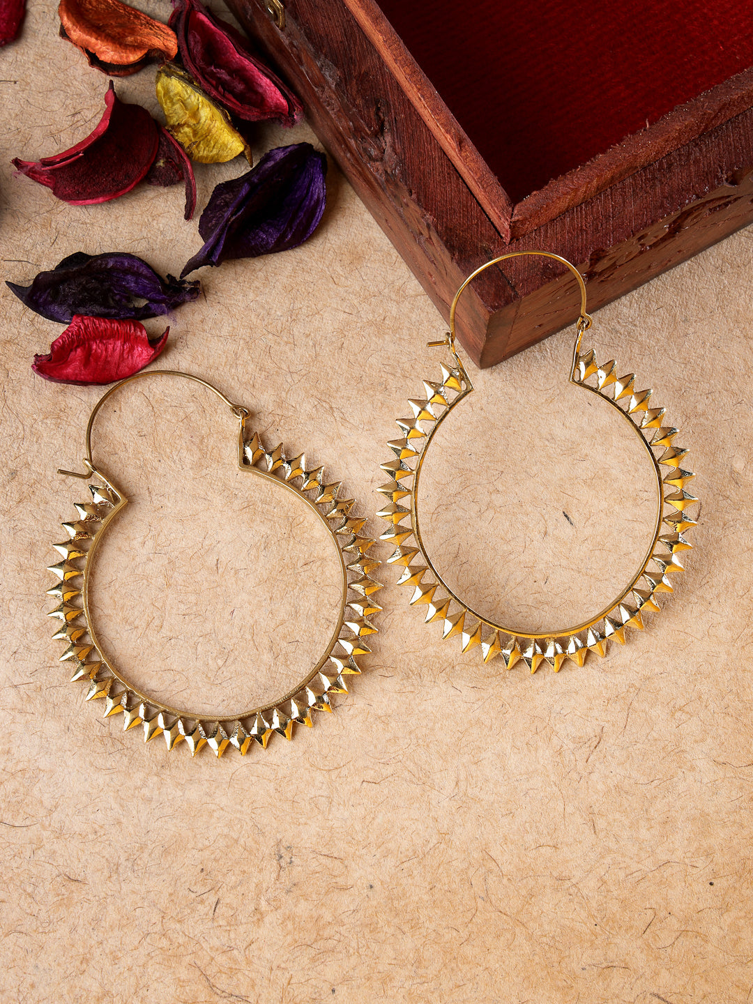 Women's Golden full circular hoop earrings