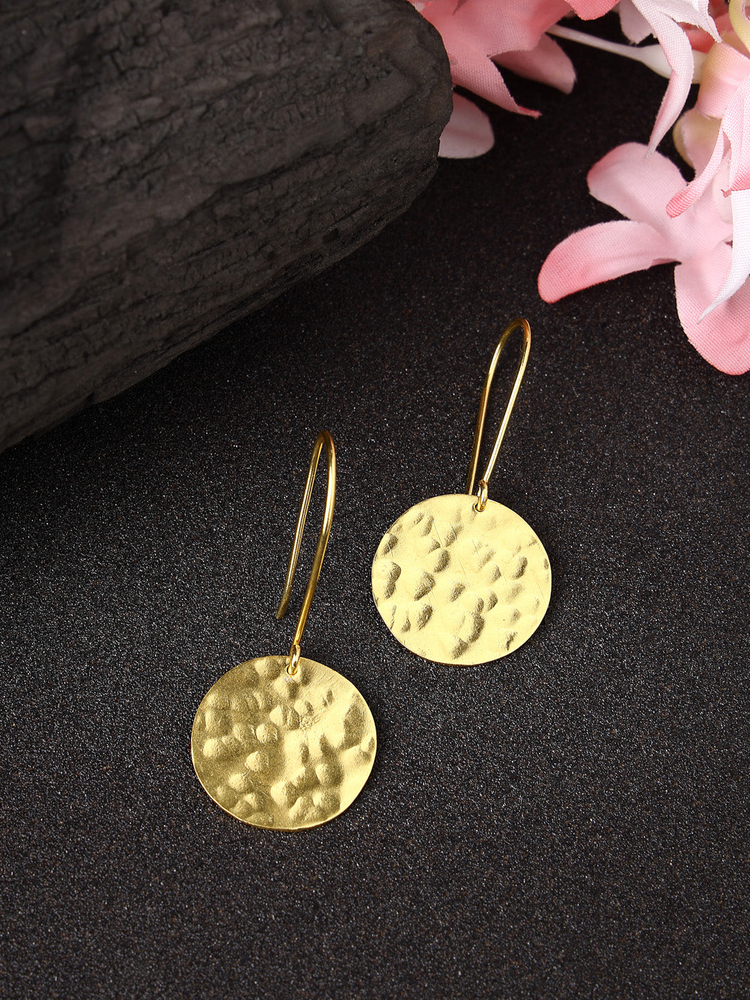 Women's Gold-plated Fish Hook Circle Drop Earrings