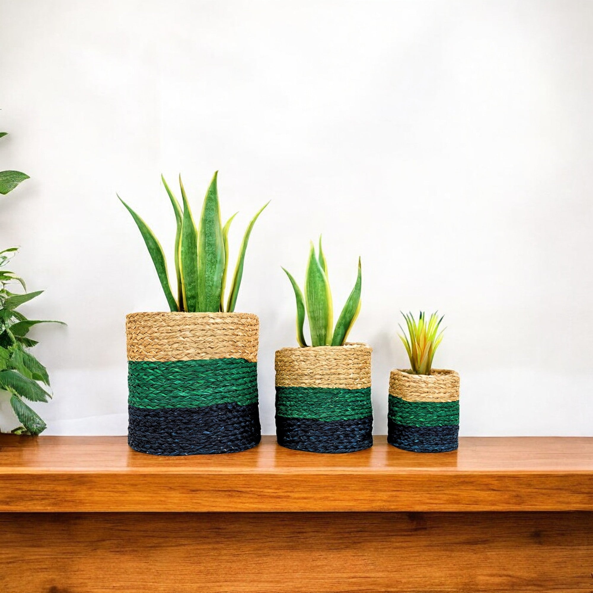 Natriel Eco-friendly Handwoven Sabai Grass Planters – Set of 3 