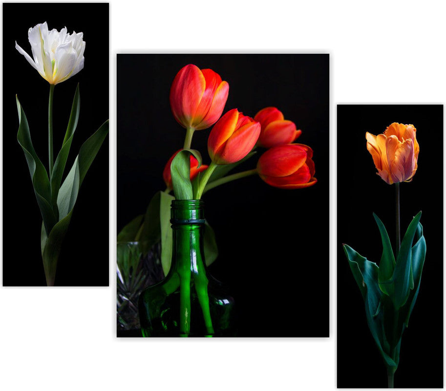 Color_Multi Color