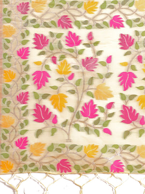 Color_Cream