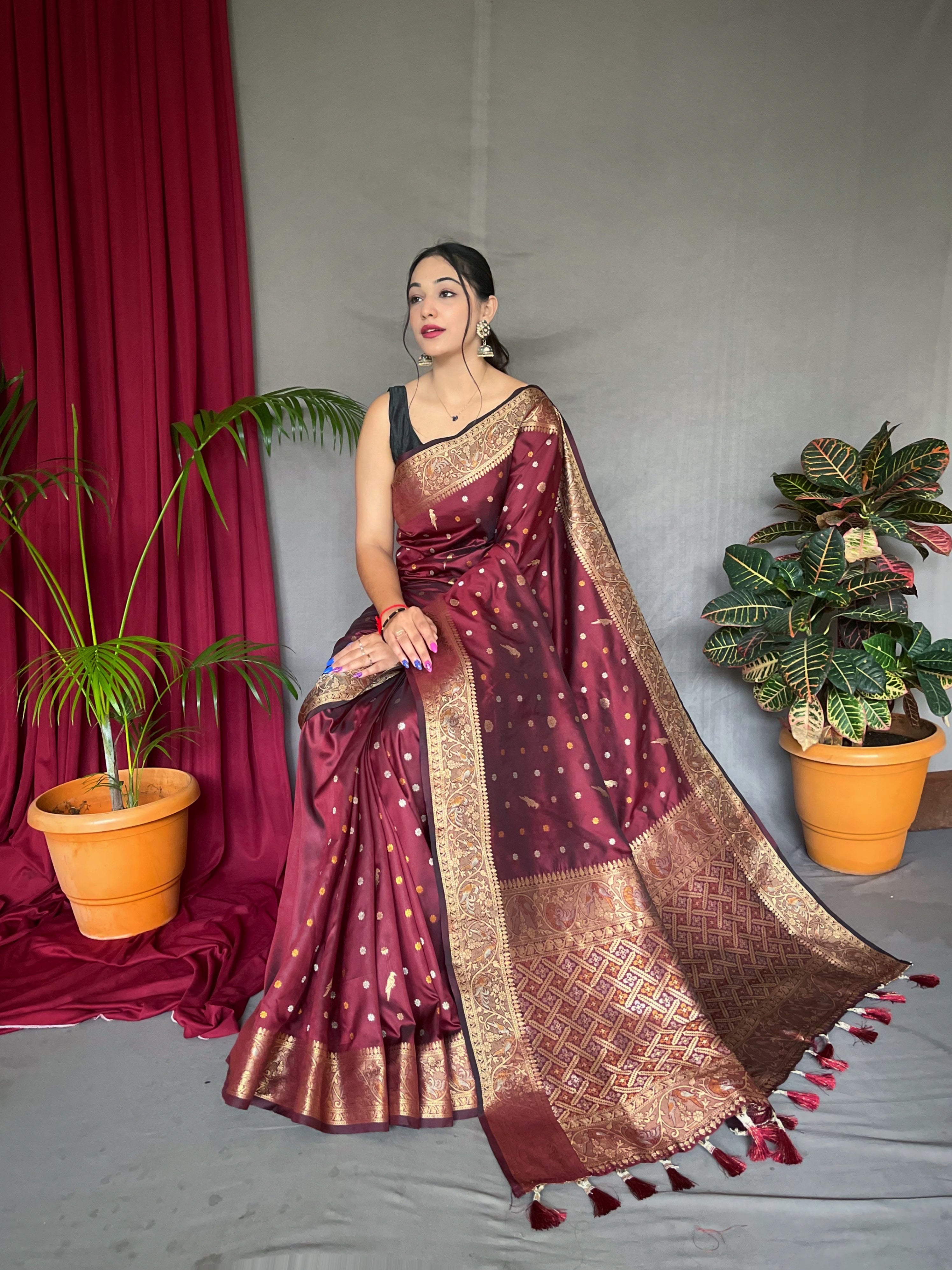 Women's Banarasi Silk Multi Color Zari Woven Saree Brown - TASARIKA
