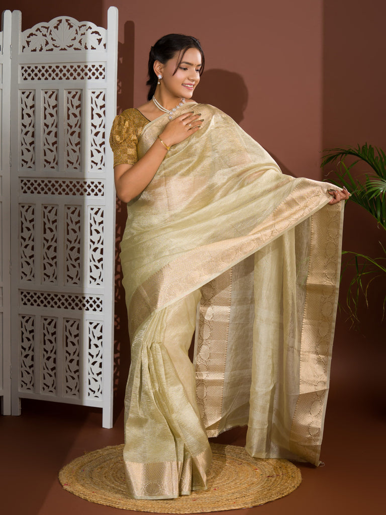 Women's Tissue Silk Banarasi Handloom Zari Border saree INA