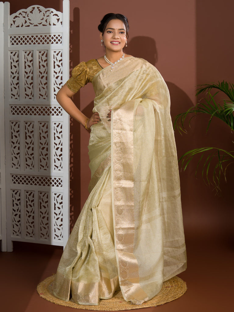 Women's Tissue Silk Banarasi Handloom Zari Border saree INA