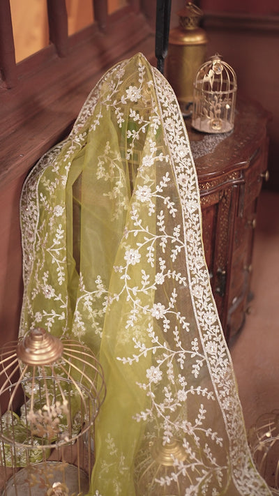 Color_Green