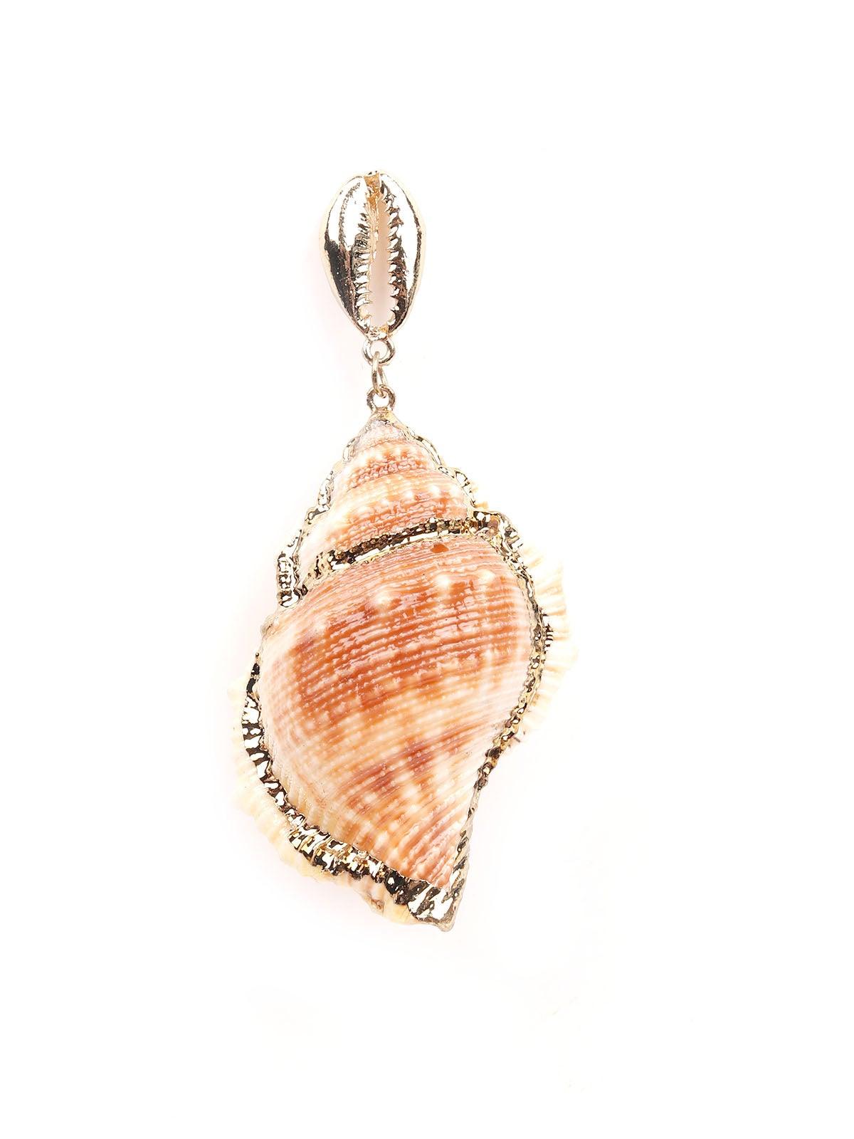 Women's Stunning Seashore Shell Earrings-Gol