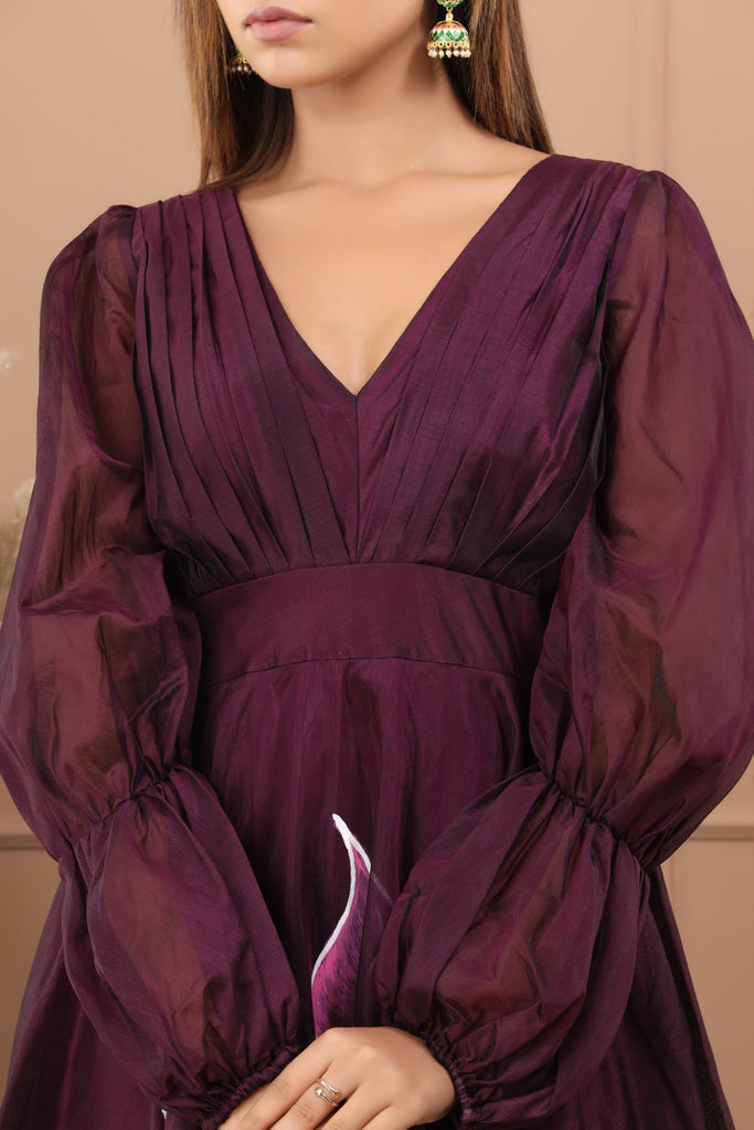 Women's Nehal Hand Painted Styled Gown