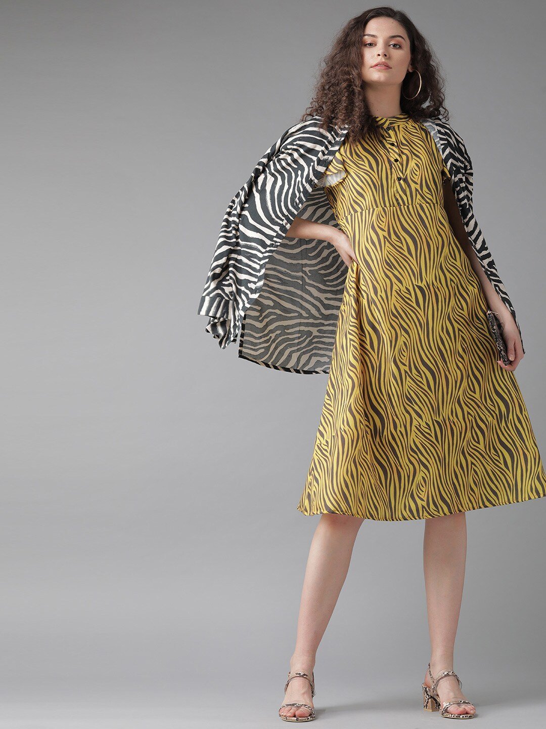 Women's  Yellow & Charcoal Grey Zebra Print A-Line Dress - AKS