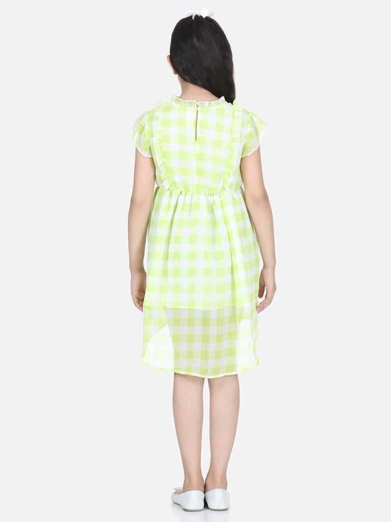 Color_Lime Green