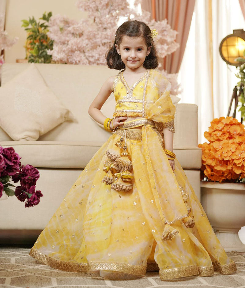 Girl's Yellow Printed Organza Lehenga Choli And Dupatta