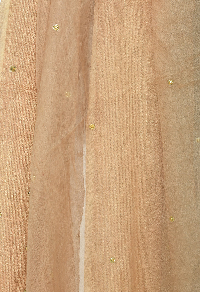 Women's Gold Color Stone Work Dupatta