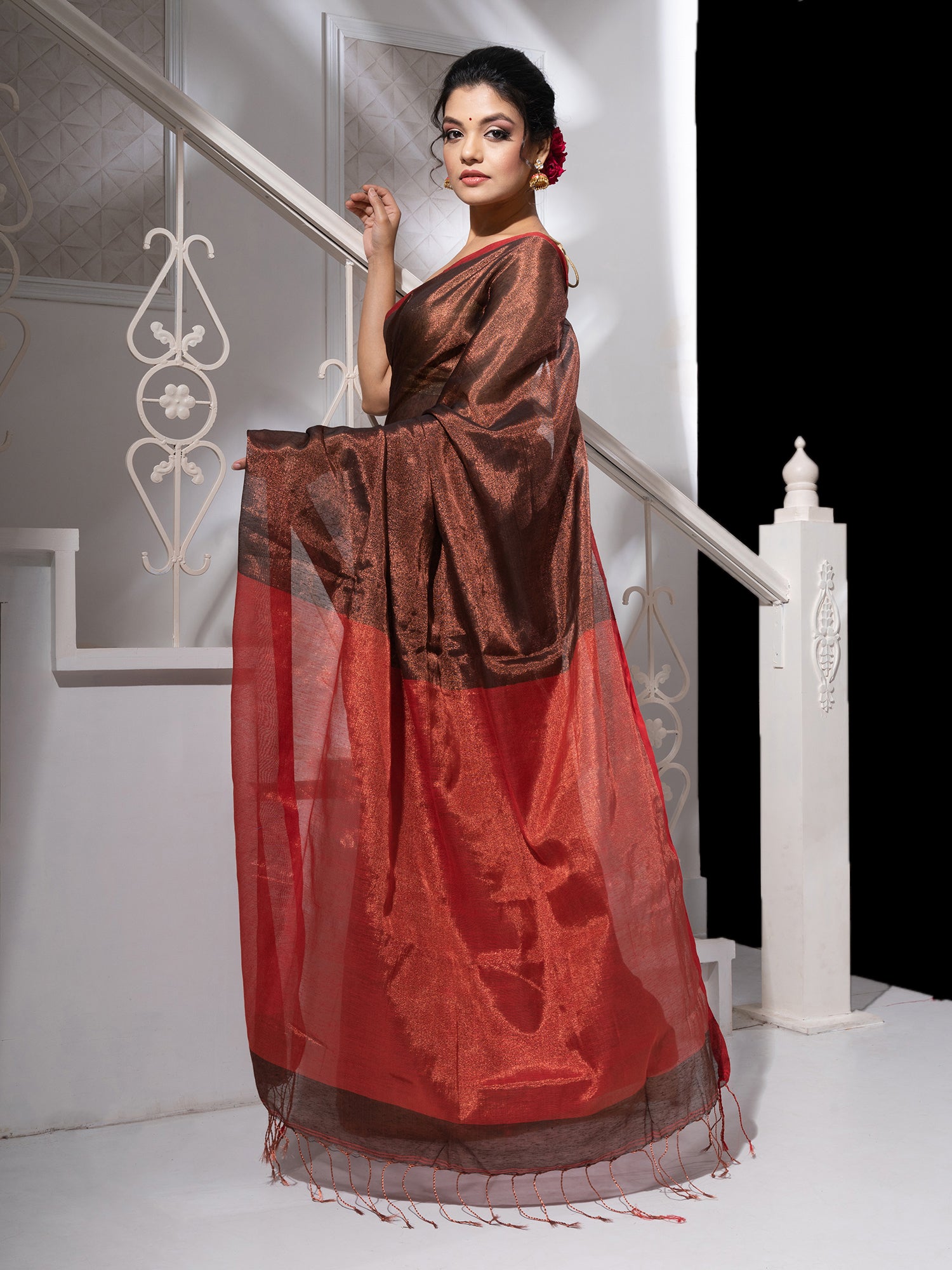 Women's Brown Tissue Handloom Saree With Red Pallu - In Weave Sarees