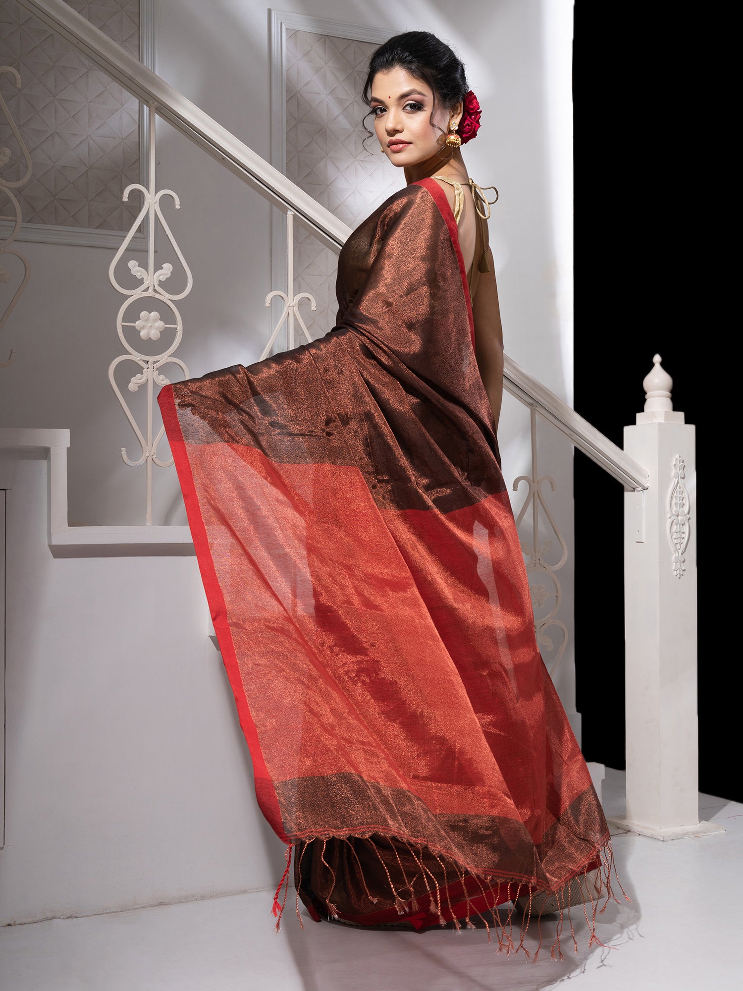 Women's Brown Tissue Handloom Saree With Red Pallu - In Weave Sarees