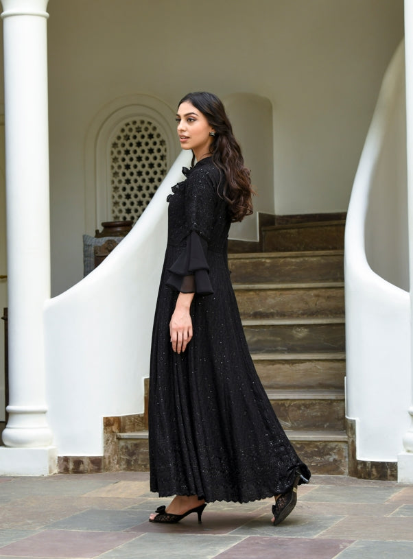 Women's Lucknowi Chikenkari Black Embroidered Gown (1Pc)