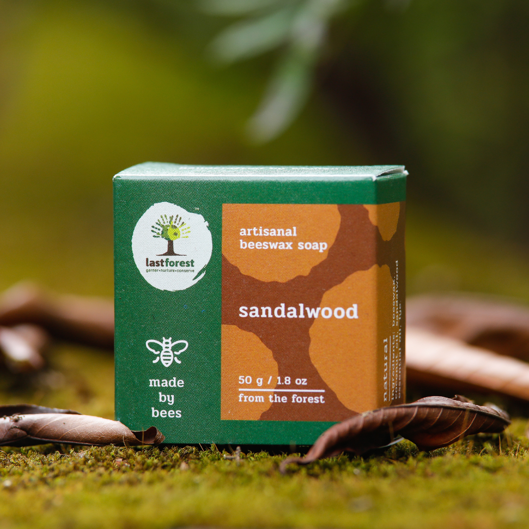 Artisanal Handmade 'Pebbles' Beeswax Soap - Sandalwood - Last Forest