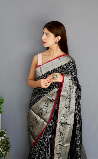 Women's Banarasi Soft Silk Checks Woven Saree Black - Tasarika